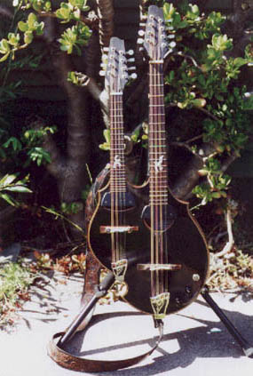 The Acoustic Double Neck