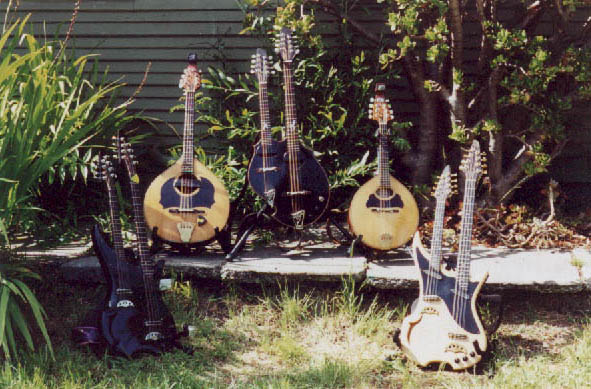 Lief's Mandolin Family